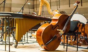 安德森保险公司